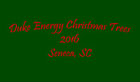 Duke Energy Christmas Trees