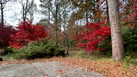 Botanical Garden 12-Nov-23