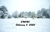 Snow February 8, 2020